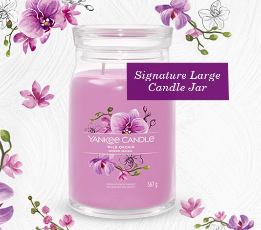 Signature Collection Yankee Candle South Africa Signature Collection Yankee Candle South Africa
